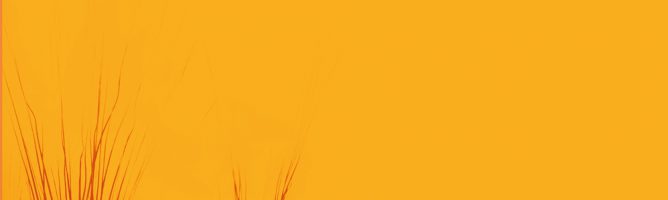 I prodotti di Libera Terra